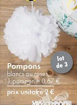 TEDi Pompons offre