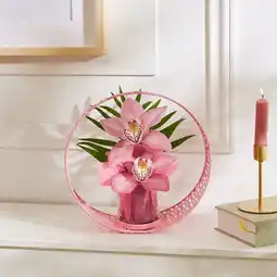 Carrefour Orchidée 2 fleurons offre