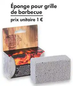 TEDi Éponge pour grille de barbecue offre