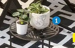 TEDi Pot de fleur offre