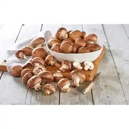 Carrefour Market Champignons de Paris bruns FILIÈRE QUALITÉ CARREFOUR offre