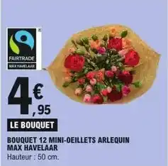 E.Leclerc Bouquet mini-oeillets arlequin max havelaar offre