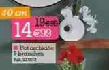Kandy Pot orchidée 5 branches offre