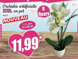 Norma Orchidée artificielle xxl en pot offre