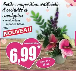 Norma Petite composition artificielle d'orchidée et eucalyptus offre