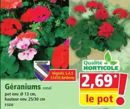 Norma Géraniums offre