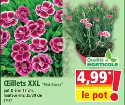 Norma Cillets xxl pink kisses offre