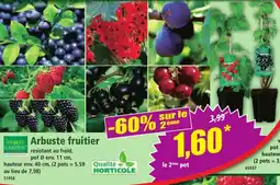 Norma Arbuste fruitier offre