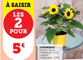 Hyper U Tournesol offre