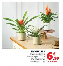 Hyper U Bromelias offre