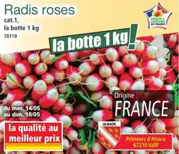 Norma Radis roses offre