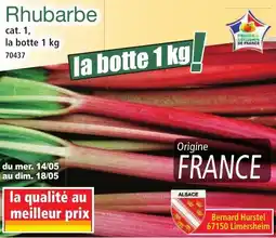 Norma Rhubarbe offre