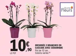 E.Leclerc Orchidée 2 branches en cascade avec céramique offre