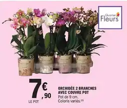 E.Leclerc Orchidée 2 branches avec couvre pot offre