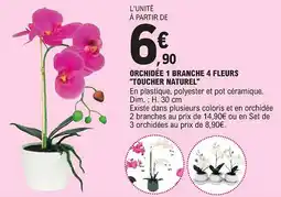 E.Leclerc Orchidée 1 branche 4 fleurs "toucher naturel" offre