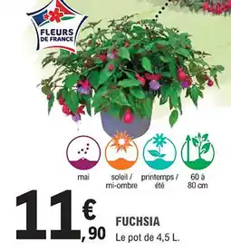 E.Leclerc Jardi Fuchsia offre