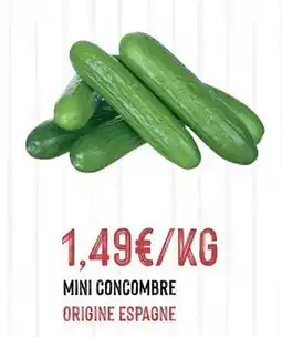 Hmarket Mini concombre offre