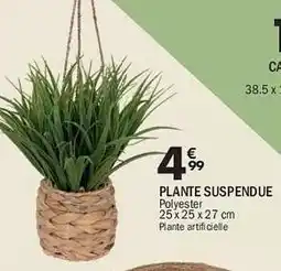 La Foir'Fouille Plante suspendue offre