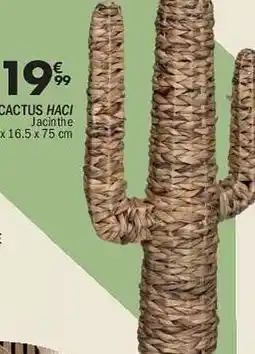 La Foir'Fouille Cactus haci offre