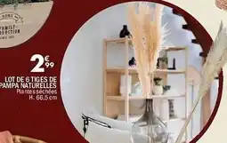 La Foir'Fouille Lot de 6 tiges de pampa naturelles plantes séchées h. 66,5 cm offre