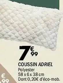 La Foir'Fouille Coussin adriel offre
