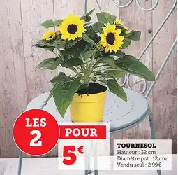 Maximarché Tournesol offre