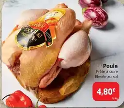 Monoprix Freedent - chewing gum presdent offre