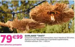 Delbard Guirlande tahiti offre