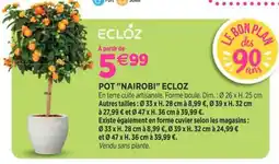Delbard Pot nairobi ecloz offre