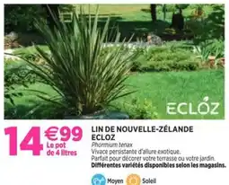 Delbard Lin i de nouvelle zélande eclóz offre