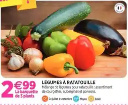 Delbard Légumes à ratatouille offre