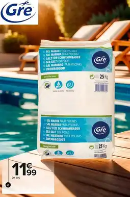 Carrefour Sac de sel piscine offre