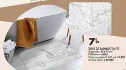 La Foir'Fouille Tapis de bain diatomite offre