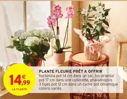 Intermarché Contact Plante fleurie prêt a offrir offre