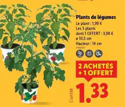 Lidl Plants De Legumes offre