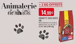 Match Croquette chien adulte one offre
