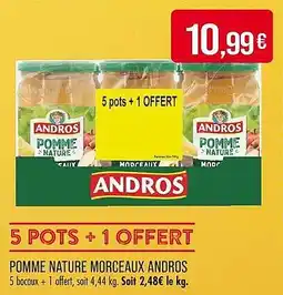 Match Pomme nature morceaux andros offre