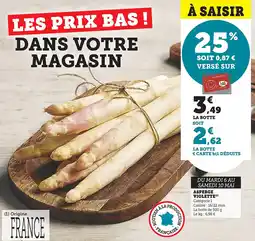Bi1 Asperge violette offre