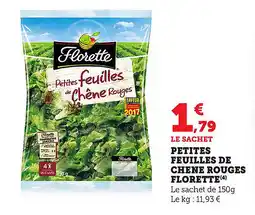 Bi1 Petites feuilles de chene rouges florette offre