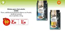 Coccinelle Supermarché Pùtées pour chat adulte sheba offre