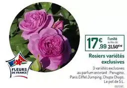 Botanic Chupa chups - rosiers variétés exclusives offre