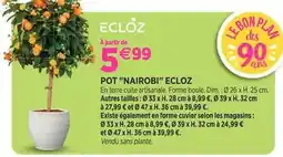Delbard Ecloz - pot nairobi offre