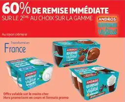 Auchan Drive Andros gourmand végétal offre