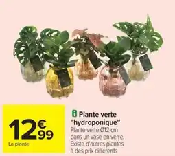 Carrefour Drive Plante verte "hydroponique" offre