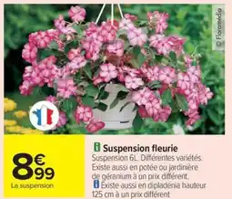 Carrefour Drive Suspension fleurie Suspension offre