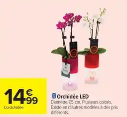 Carrefour Drive Orchidée LED offre