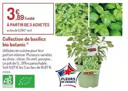 Botanic Collection de basilics bio botanic offre