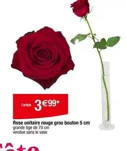 Carrefour Rose unitaire rouge gros bouton offre