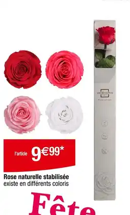 Carrefour Rose naturelle stabilisée offre