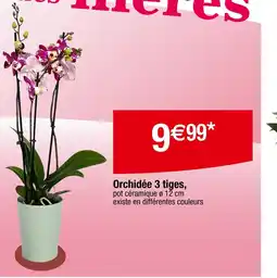 Carrefour Orchidée 3 tiges offre